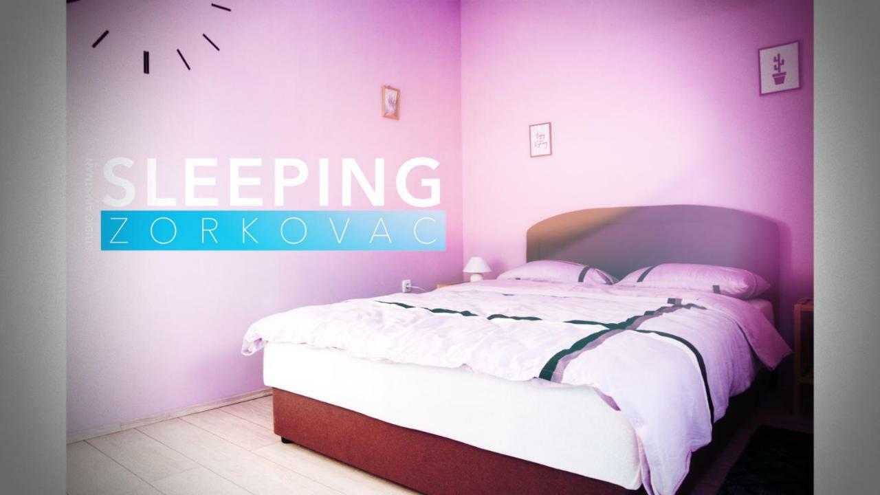 Ferienwohnung Studio Apartman Zorkovac Ozalj Exterior foto